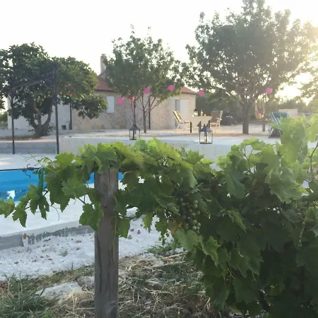 In The Vinyard *