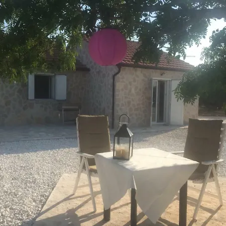 In The Vinyard Sutivan